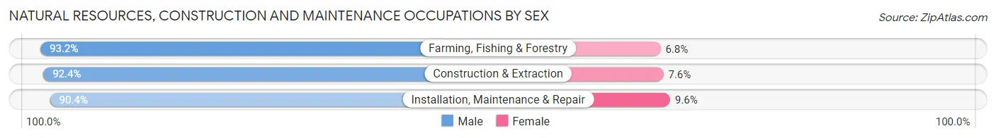 Natural Resources, Construction and Maintenance Occupations by Sex in Big Horn County