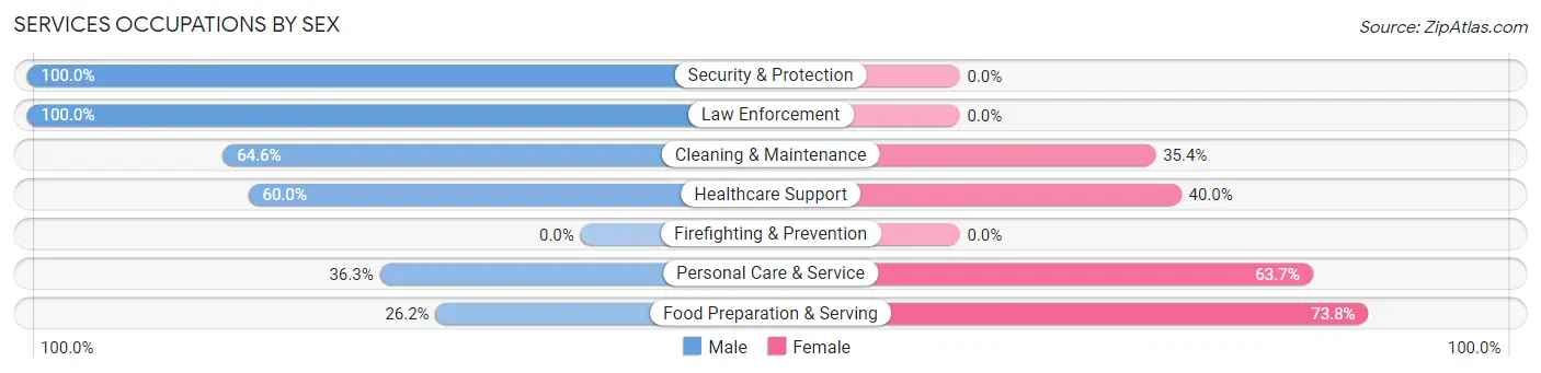 Services Occupations by Sex in Blaine County