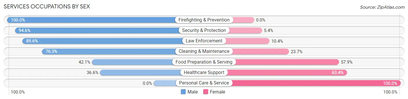 Services Occupations by Sex in Deer Lodge County