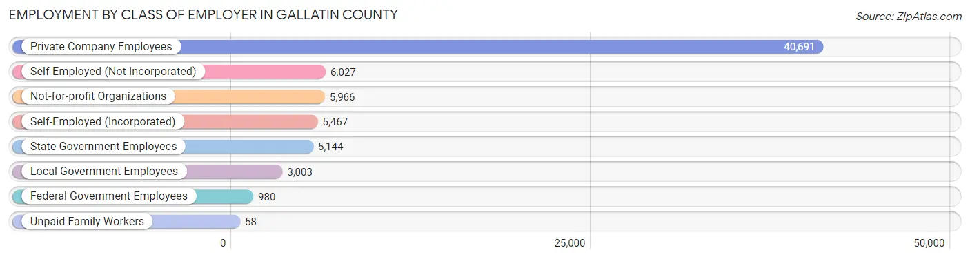 Employment by Class of Employer in Gallatin County