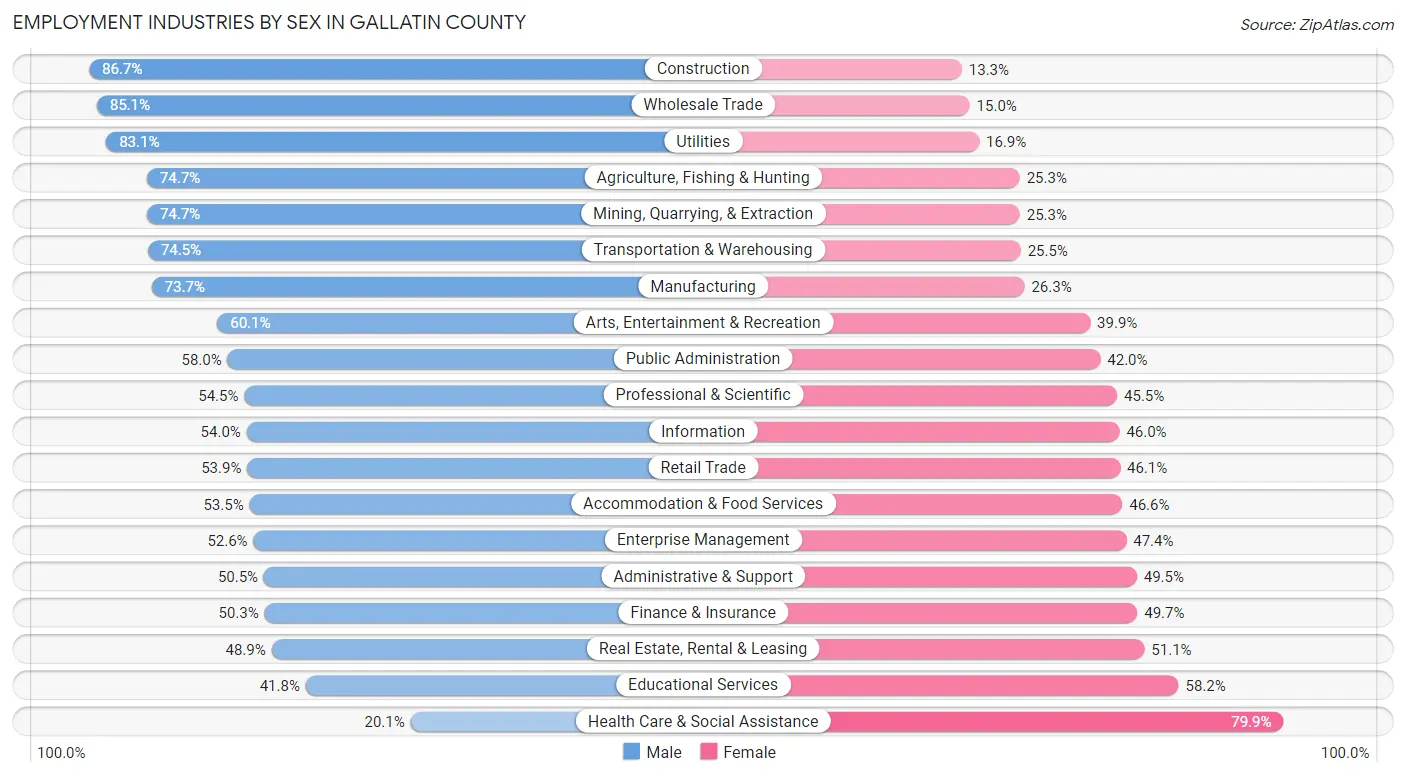 Employment Industries by Sex in Gallatin County