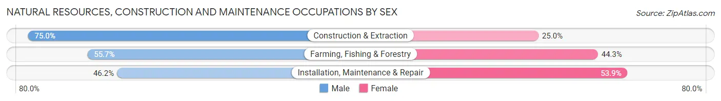 Natural Resources, Construction and Maintenance Occupations by Sex in Liberty County