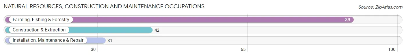Natural Resources, Construction and Maintenance Occupations in McCone County