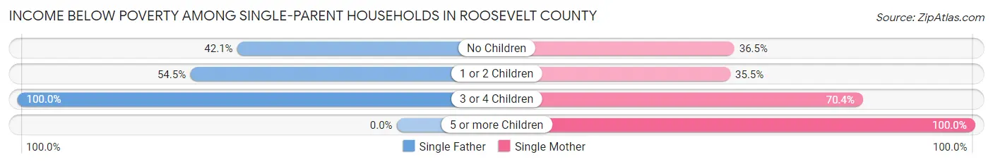 Income Below Poverty Among Single-Parent Households in Roosevelt County