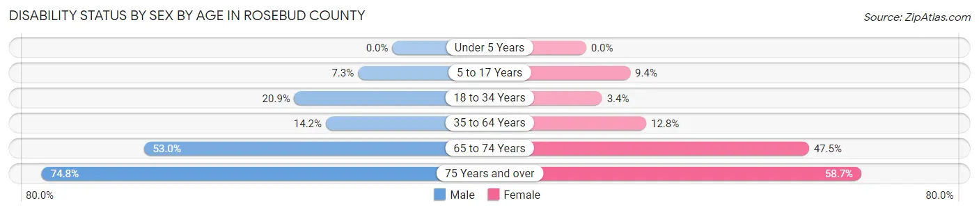 Disability Status by Sex by Age in Rosebud County