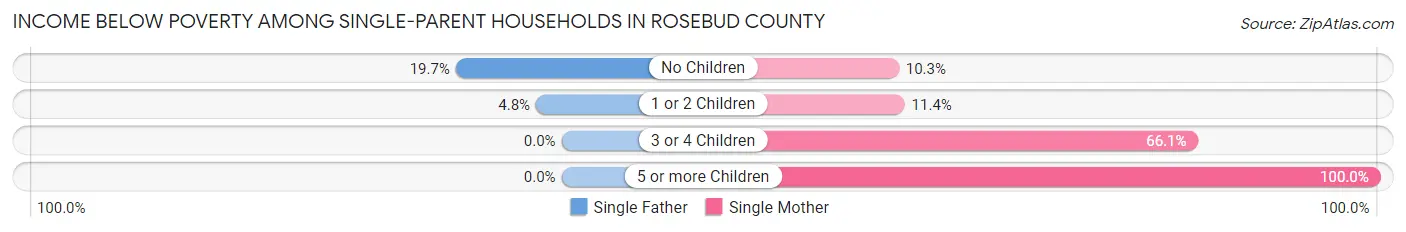 Income Below Poverty Among Single-Parent Households in Rosebud County