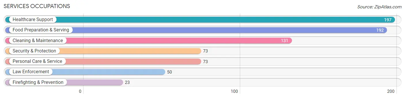 Services Occupations in Valley County