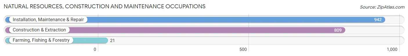 Natural Resources, Construction and Maintenance Occupations in Alexander County