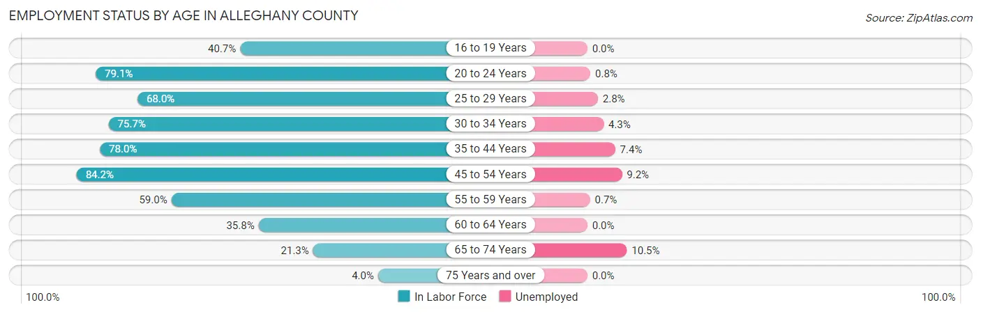 Employment Status by Age in Alleghany County