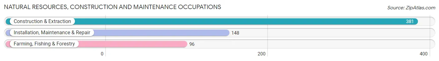 Natural Resources, Construction and Maintenance Occupations in Alleghany County
