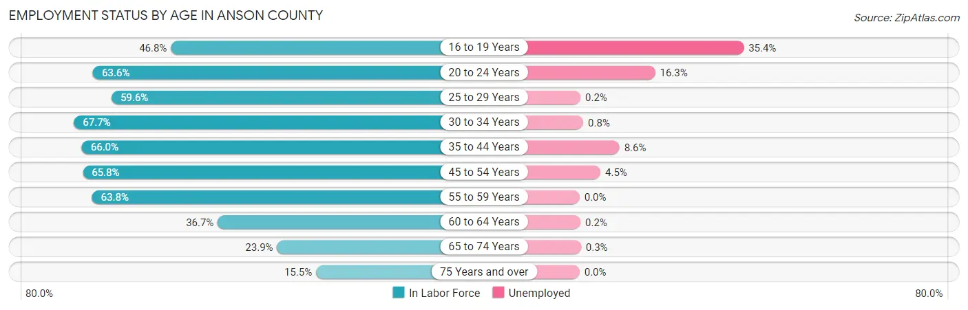 Employment Status by Age in Anson County