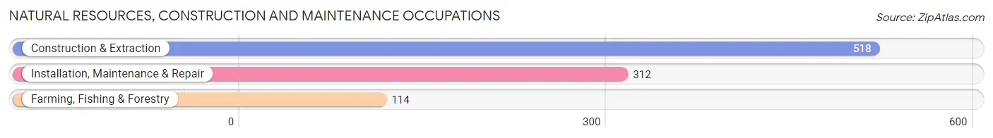 Natural Resources, Construction and Maintenance Occupations in Anson County