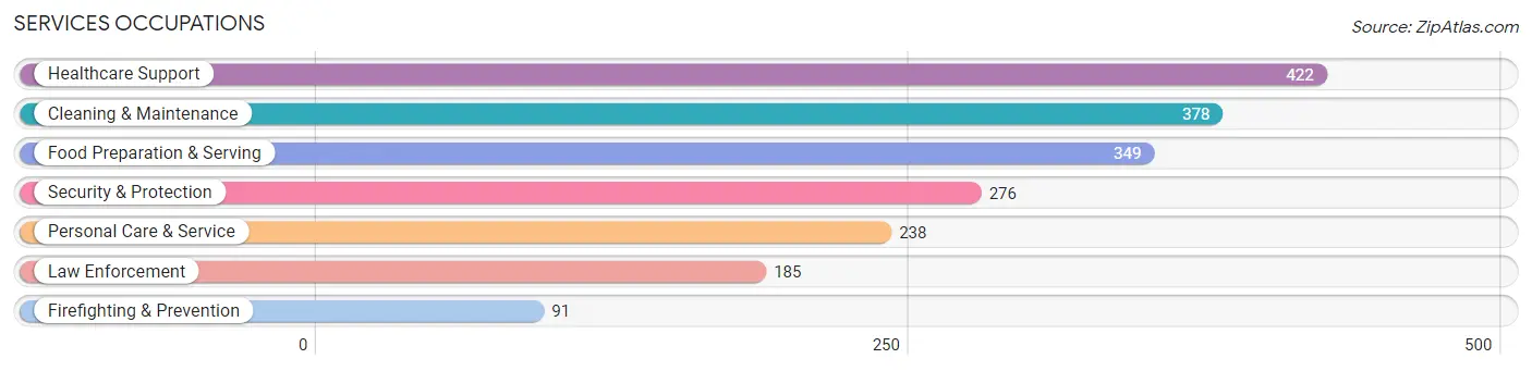 Services Occupations in Anson County