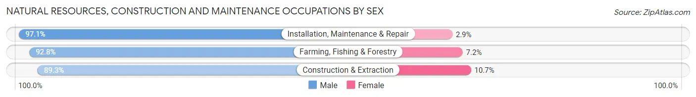 Natural Resources, Construction and Maintenance Occupations by Sex in Beaufort County