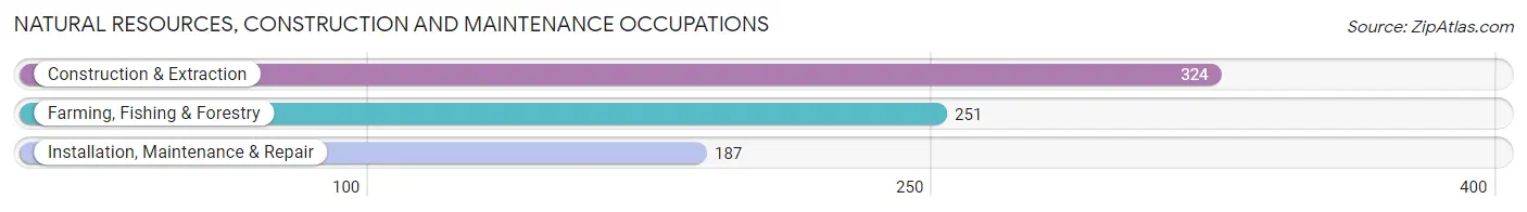 Natural Resources, Construction and Maintenance Occupations in Bertie County