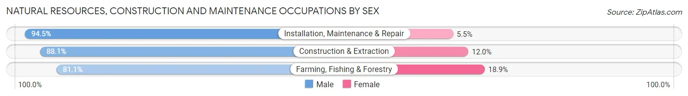 Natural Resources, Construction and Maintenance Occupations by Sex in Bladen County
