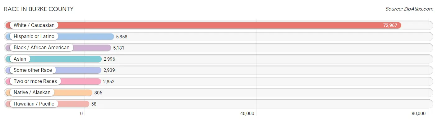 Race in Burke County