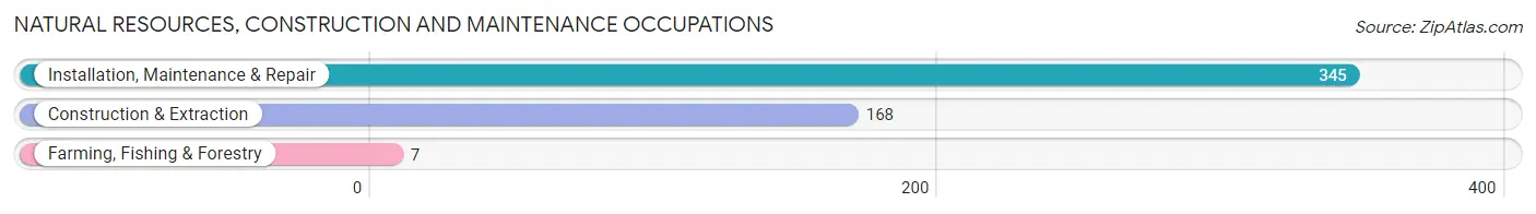 Natural Resources, Construction and Maintenance Occupations in Camden County
