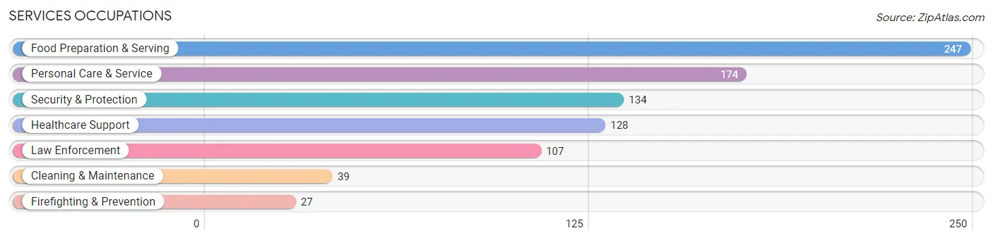Services Occupations in Camden County