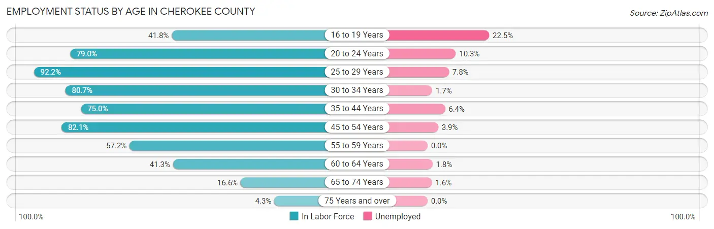 Employment Status by Age in Cherokee County