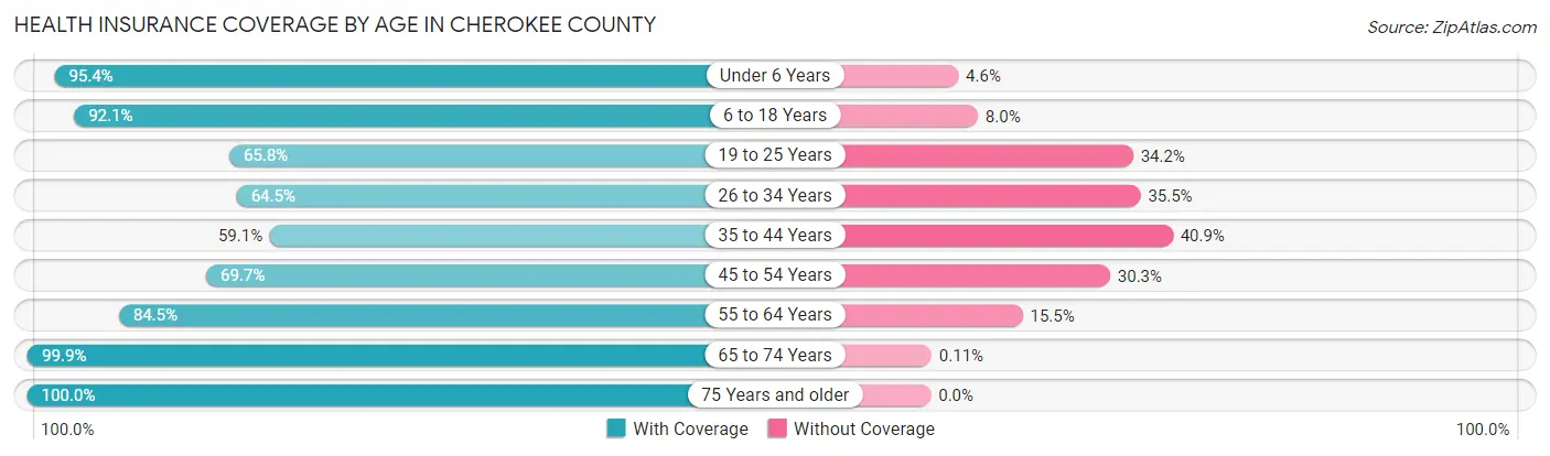 Health Insurance Coverage by Age in Cherokee County