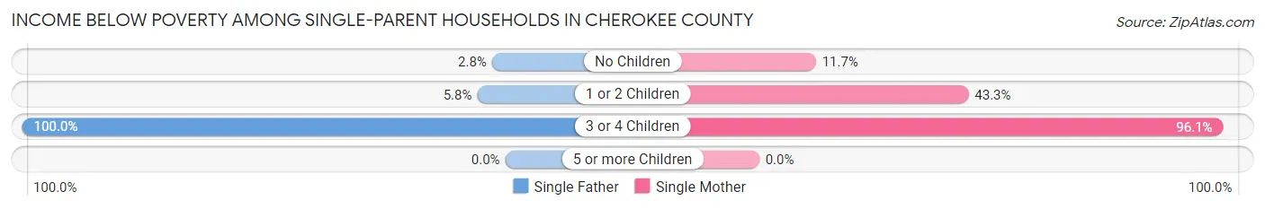 Income Below Poverty Among Single-Parent Households in Cherokee County
