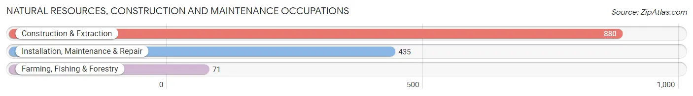 Natural Resources, Construction and Maintenance Occupations in Cherokee County