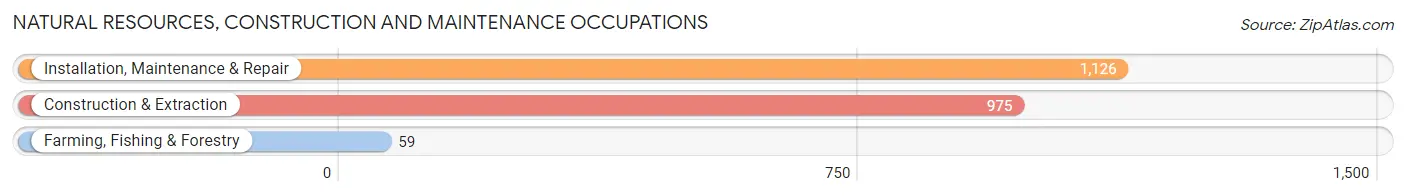 Natural Resources, Construction and Maintenance Occupations in Davie County