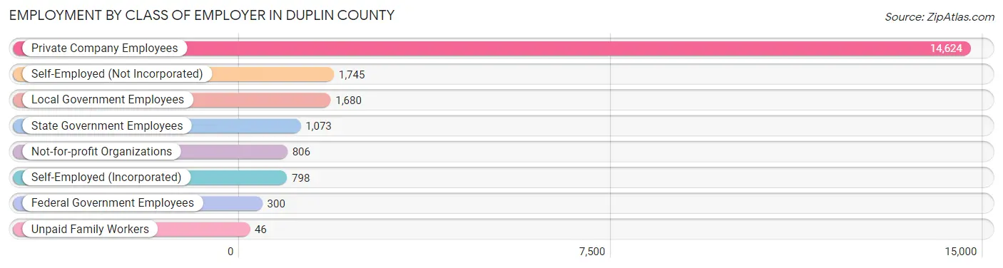 Employment by Class of Employer in Duplin County