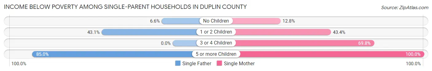 Income Below Poverty Among Single-Parent Households in Duplin County