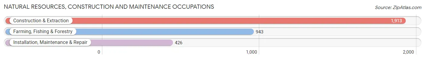 Natural Resources, Construction and Maintenance Occupations in Duplin County
