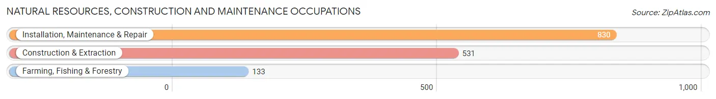 Natural Resources, Construction and Maintenance Occupations in Edgecombe County