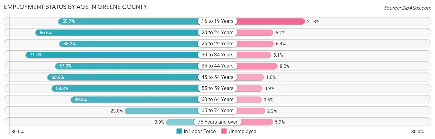 Employment Status by Age in Greene County