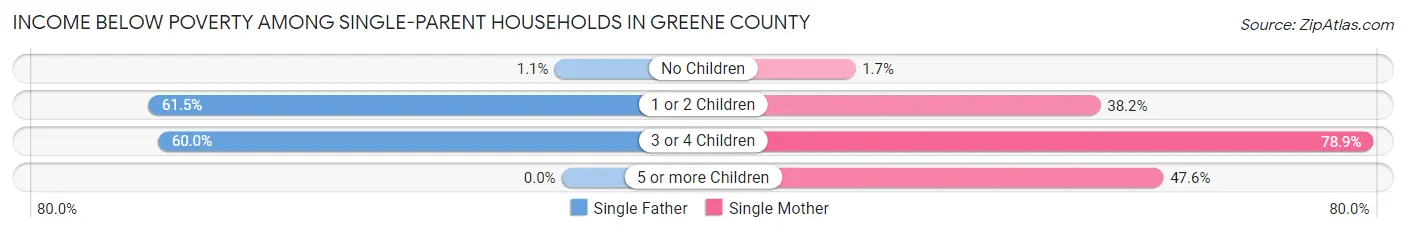 Income Below Poverty Among Single-Parent Households in Greene County