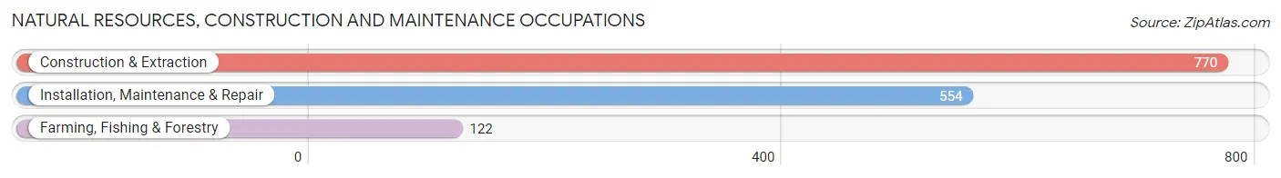 Natural Resources, Construction and Maintenance Occupations in Halifax County