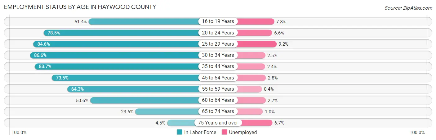 Employment Status by Age in Haywood County