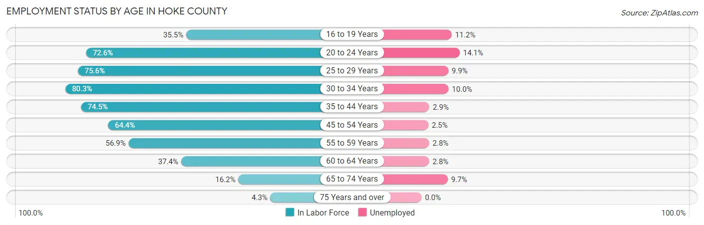 Employment Status by Age in Hoke County