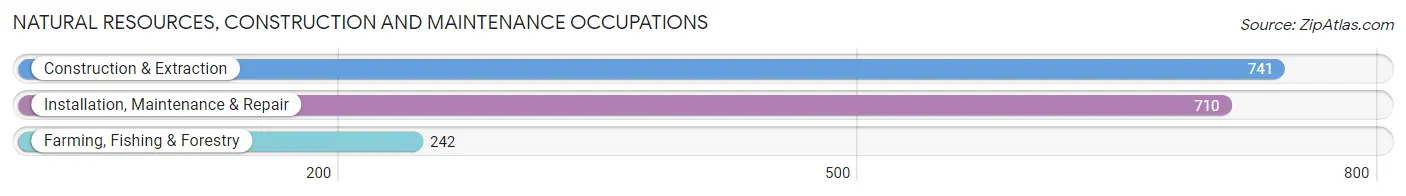 Natural Resources, Construction and Maintenance Occupations in Hoke County