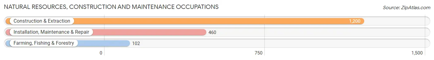 Natural Resources, Construction and Maintenance Occupations in Jackson County