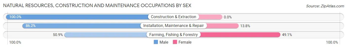 Natural Resources, Construction and Maintenance Occupations by Sex in Jones County