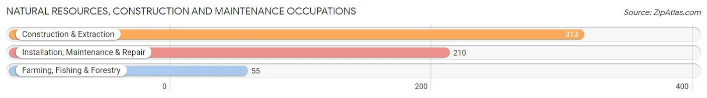 Natural Resources, Construction and Maintenance Occupations in Jones County