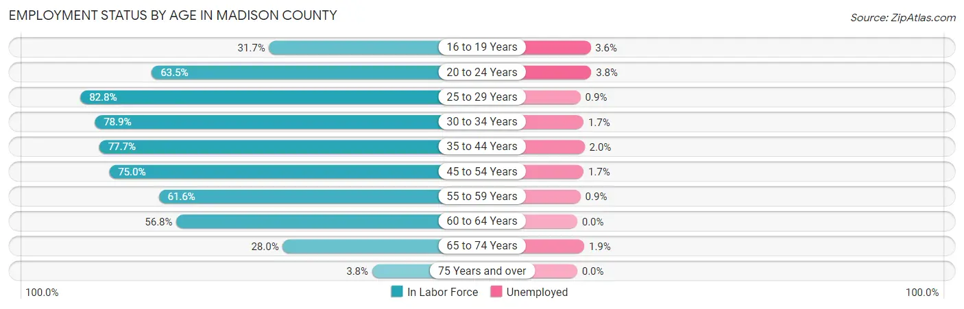 Employment Status by Age in Madison County