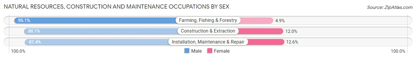 Natural Resources, Construction and Maintenance Occupations by Sex in Madison County