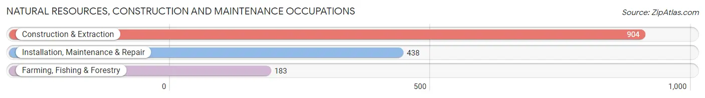 Natural Resources, Construction and Maintenance Occupations in Madison County