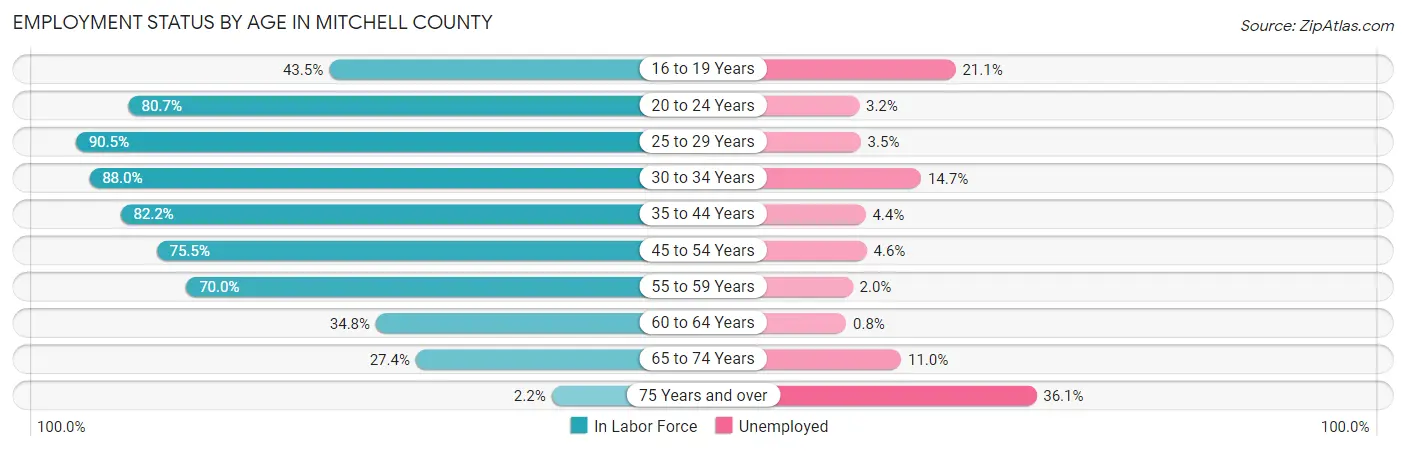Employment Status by Age in Mitchell County