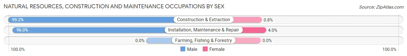 Natural Resources, Construction and Maintenance Occupations by Sex in Mitchell County