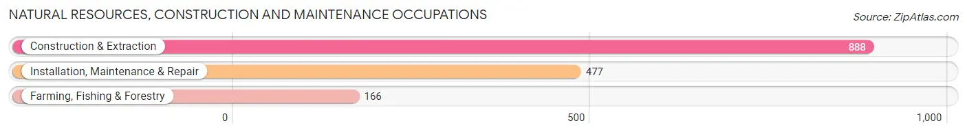Natural Resources, Construction and Maintenance Occupations in Montgomery County