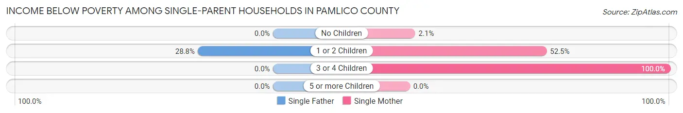 Income Below Poverty Among Single-Parent Households in Pamlico County
