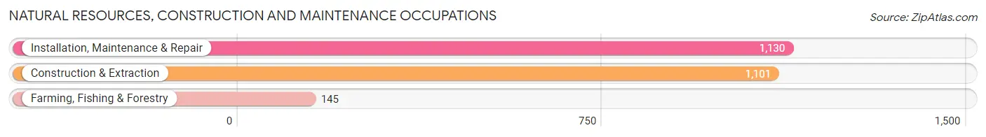Natural Resources, Construction and Maintenance Occupations in Person County