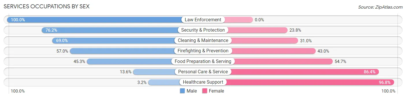 Services Occupations by Sex in Person County